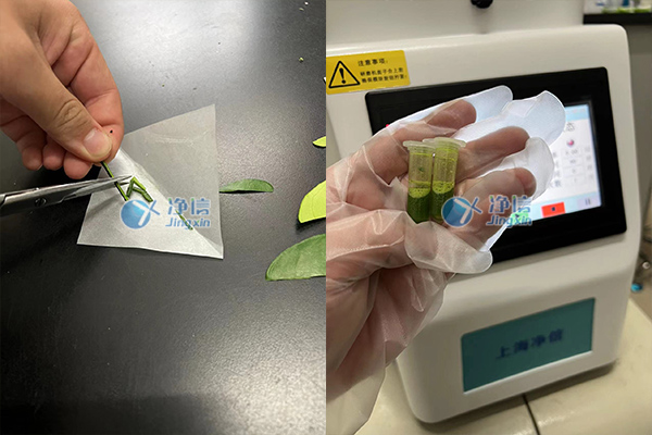 1652783401205672.jpg 300-1.jpg